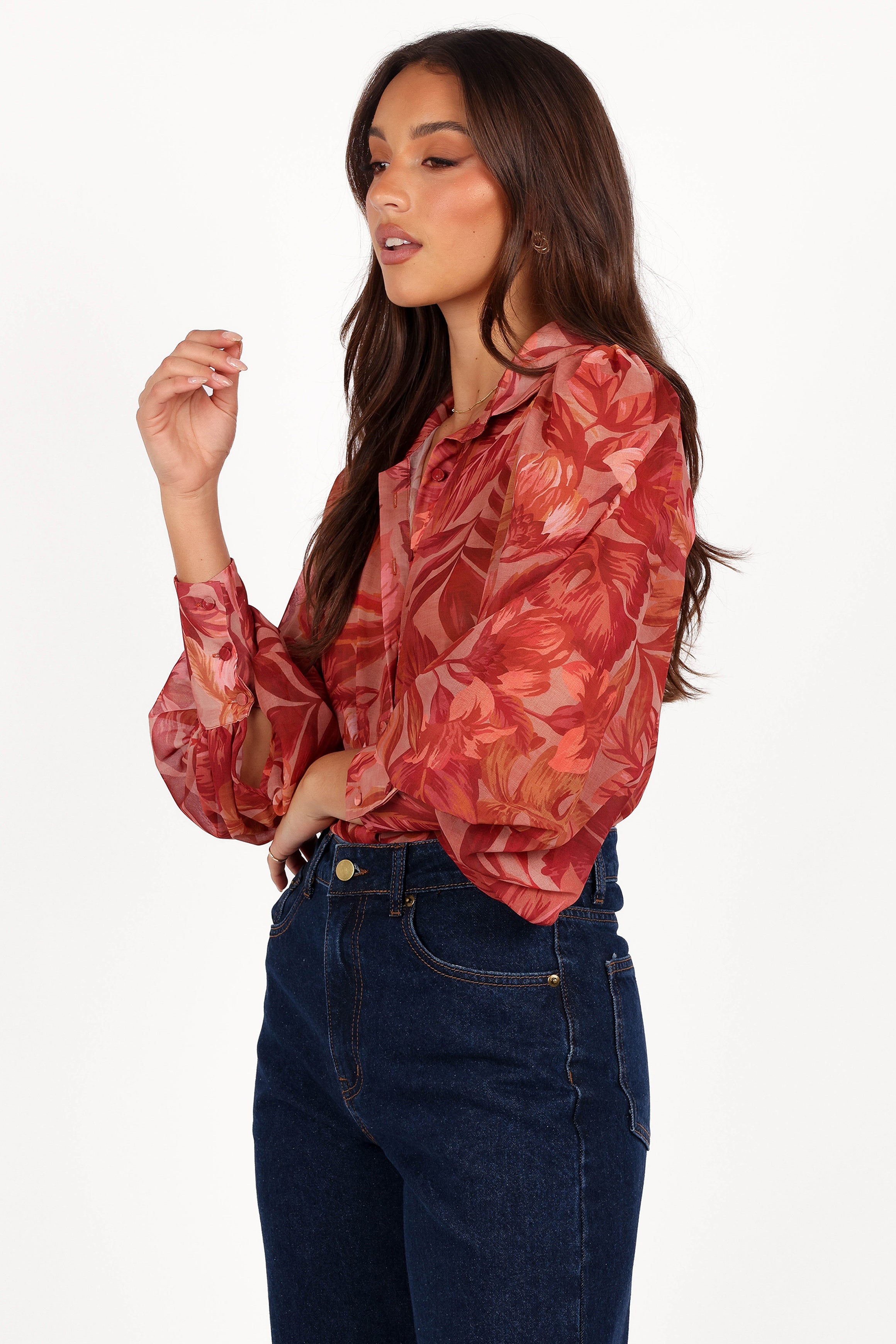 Tropical Print Sheer Blouse - Fleetwood Long Sleeve V-Neck Top