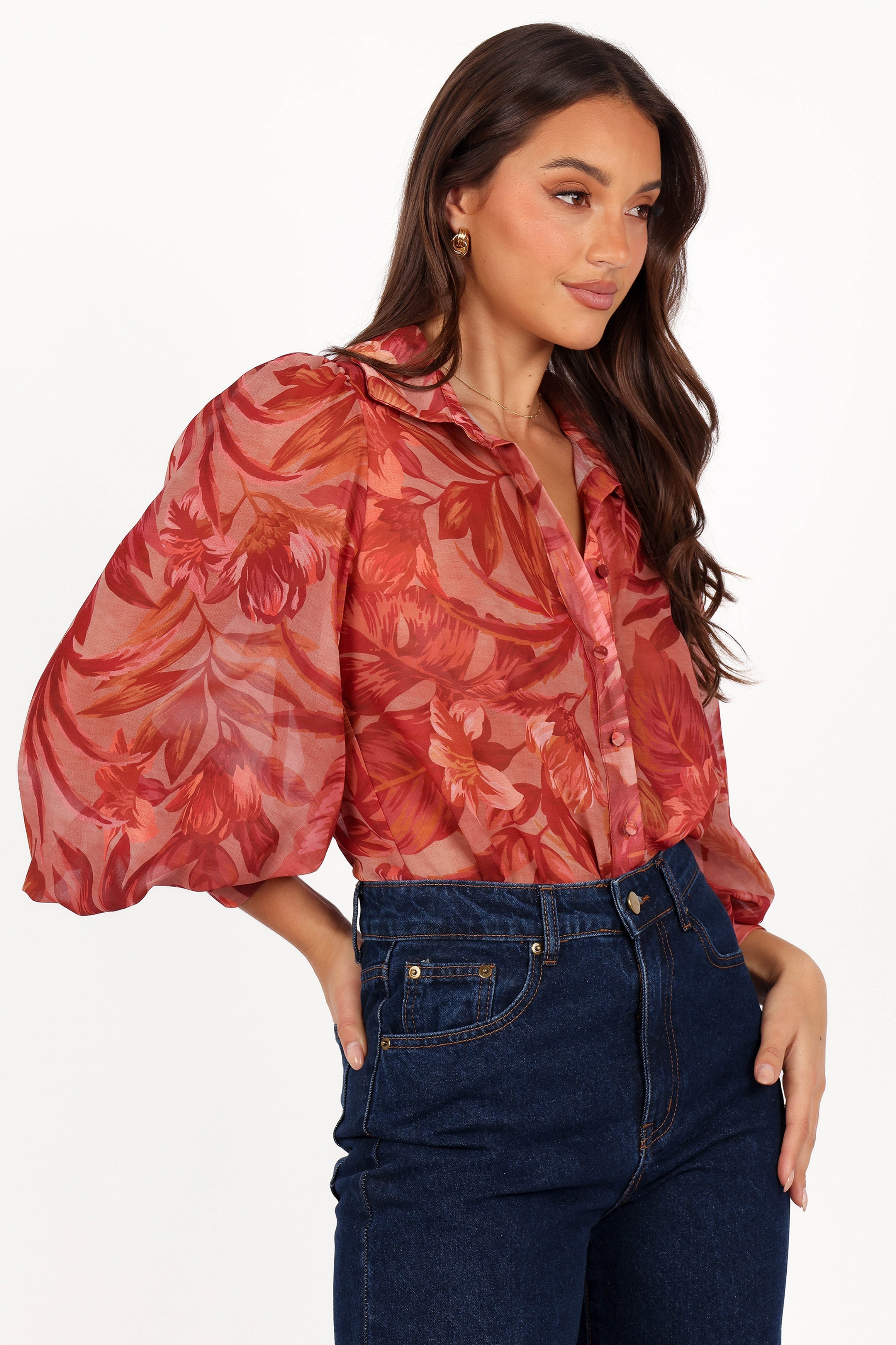 Tropical Print Sheer Blouse - Fleetwood Long Sleeve V-Neck Top
