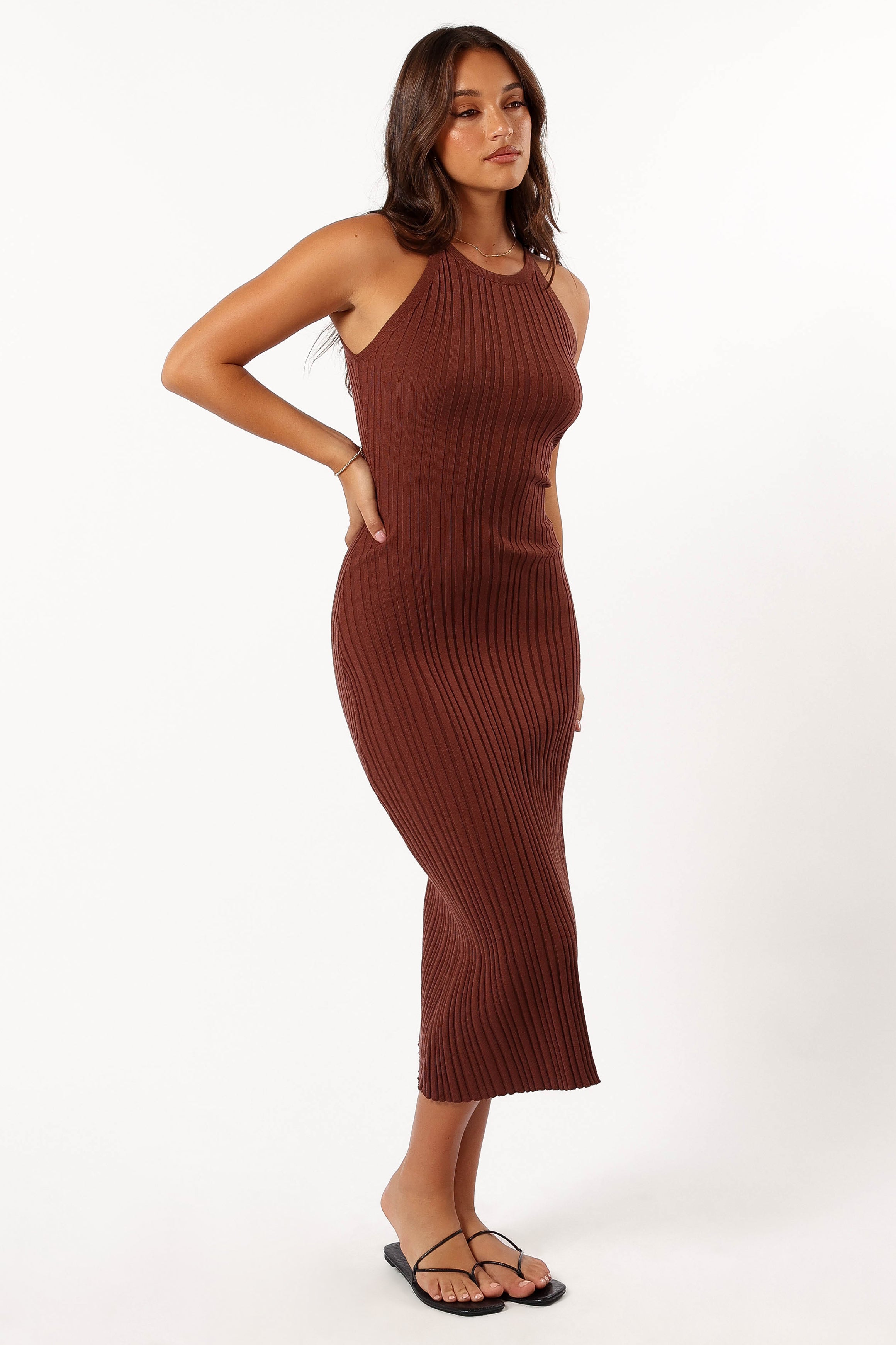 Brighton Sleeveless Ribbed Knit Maxi Dress in Chocolate Brown