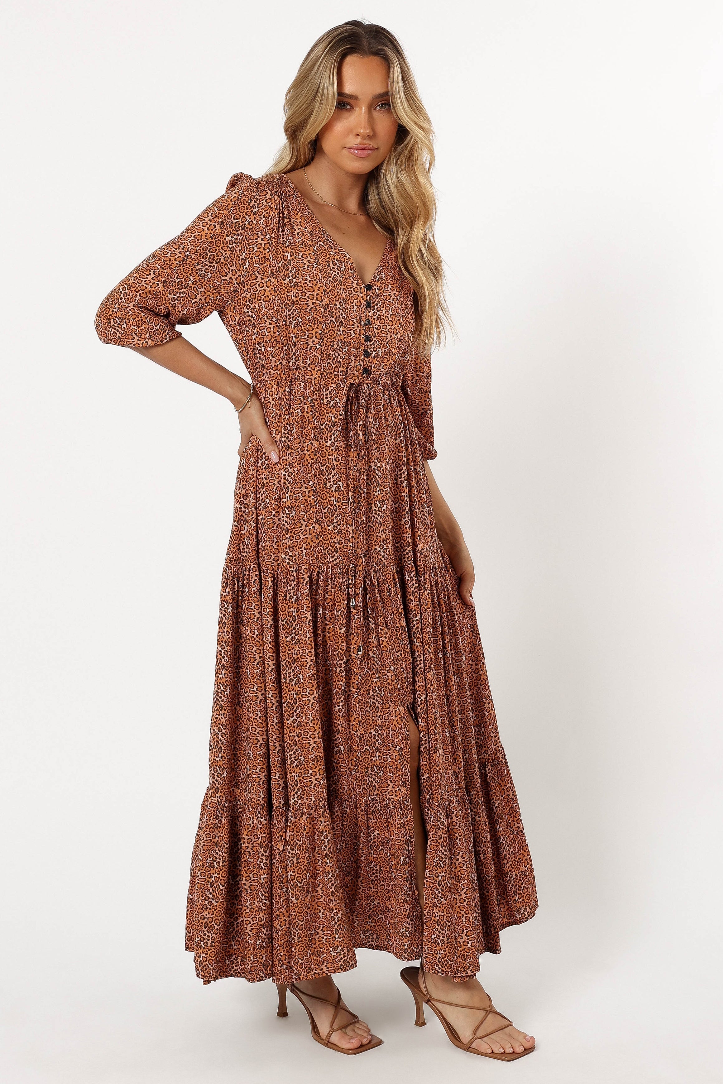 Kelda Leopard Print Maxi Dress with V-Neck & Tie Waist