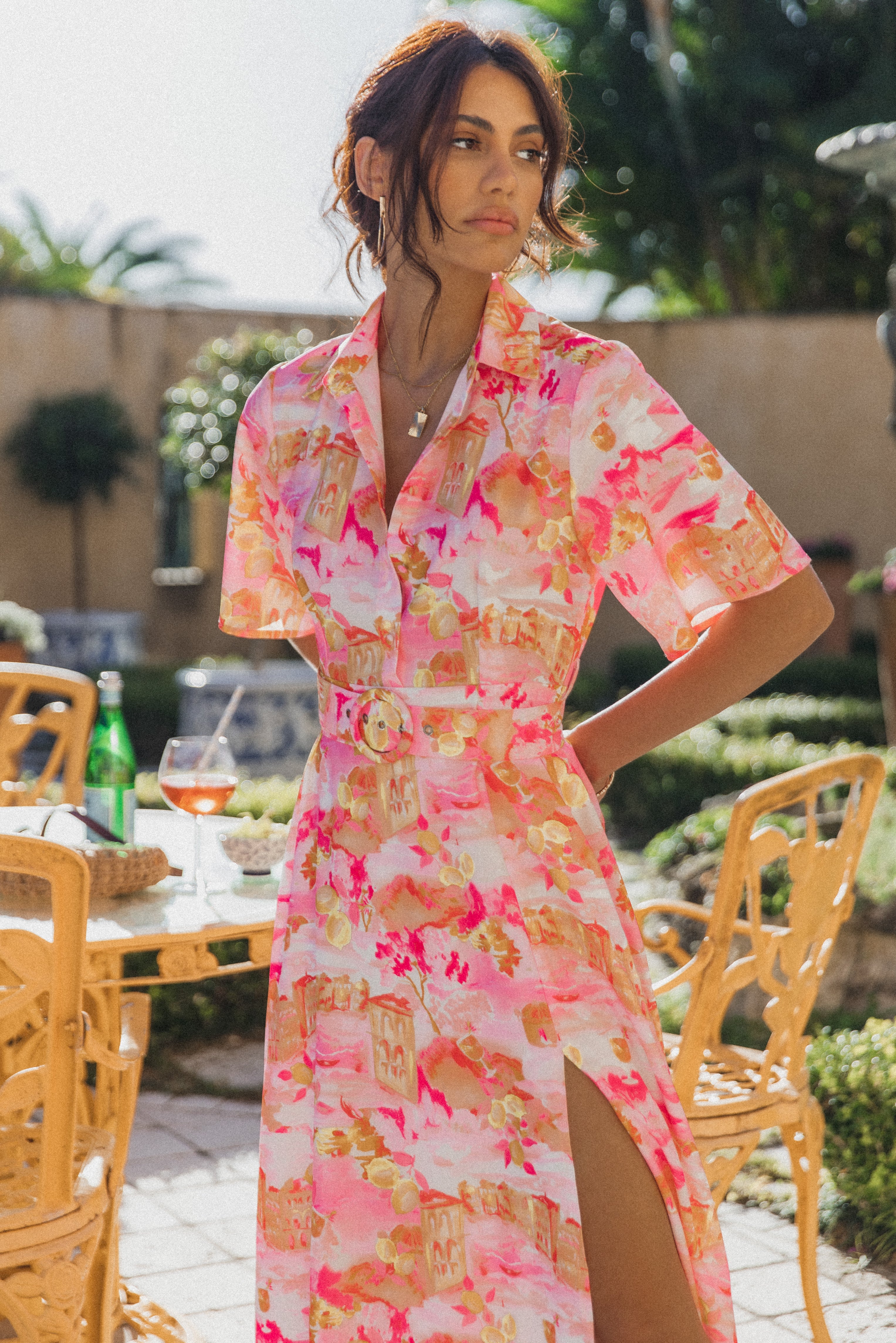 Arianna Pink Scenic Maxi Dress with Removable Belt & Collar