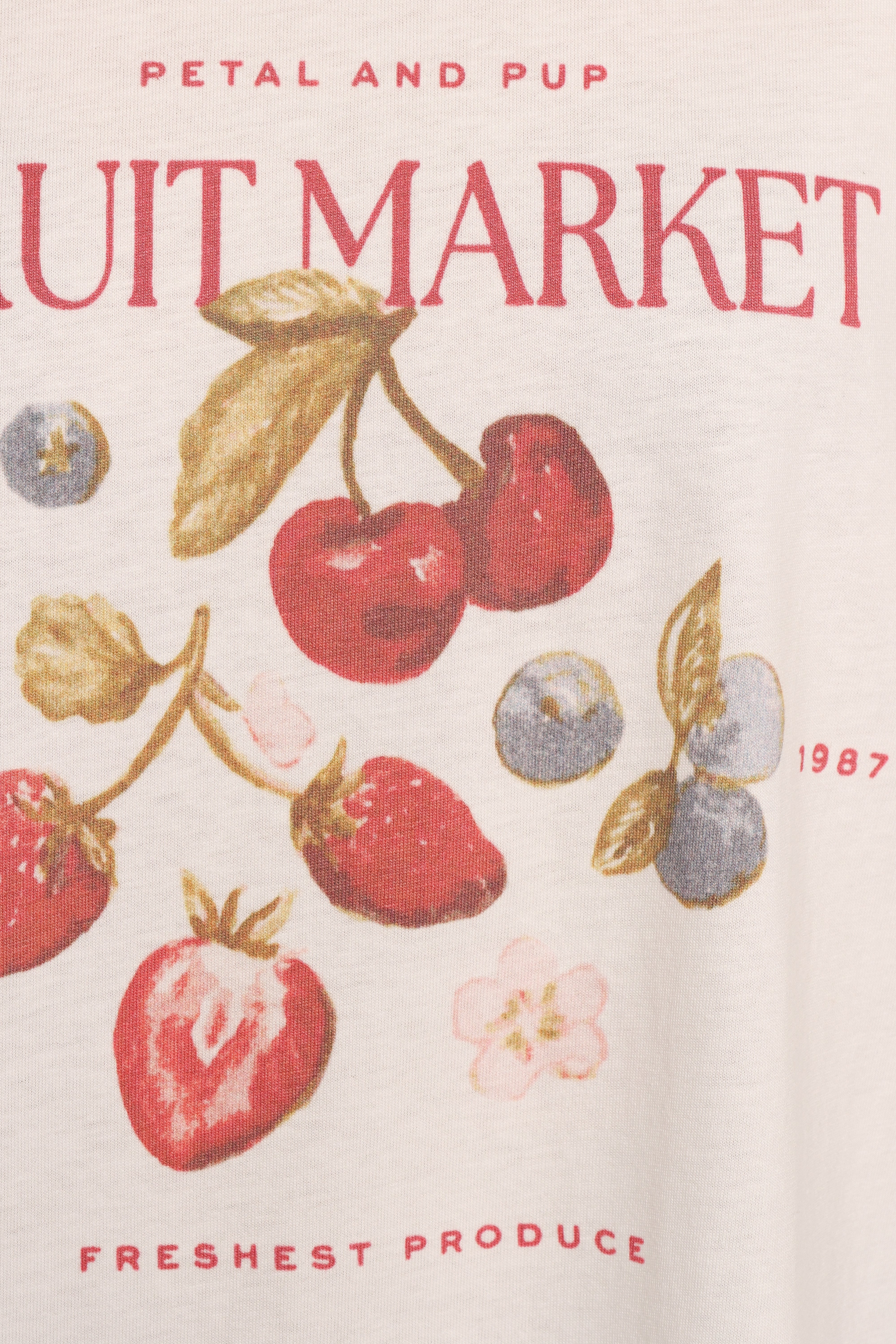 Fruit Graphic Oversized Cotton Tee - White Loa T-Shirt